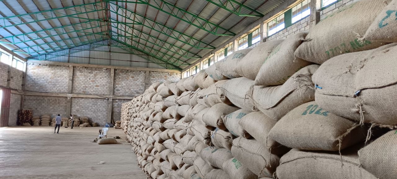 Warehouse and export bags